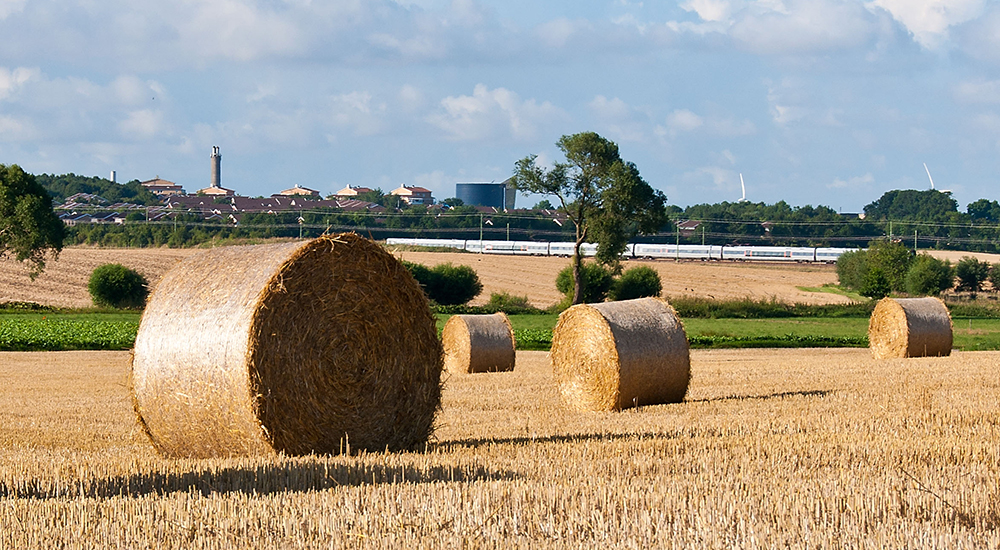 Agriculture Grainfield Liquidline 1000X550pxl