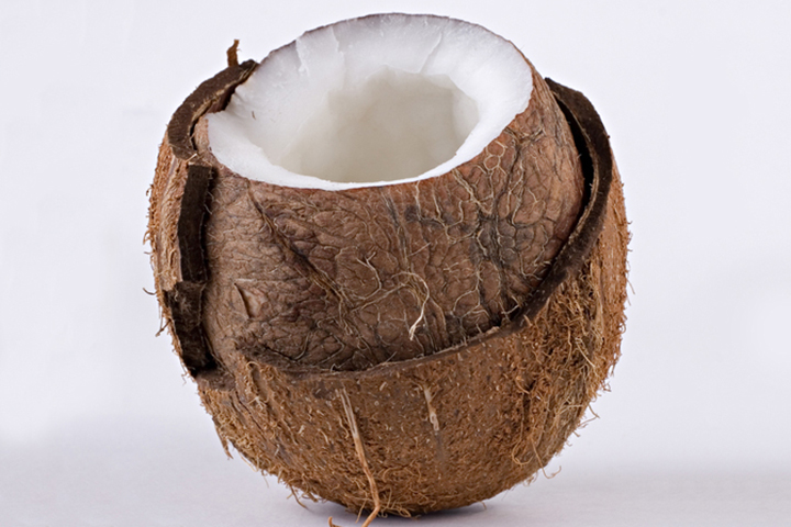 Coconut 720X480 Pxl