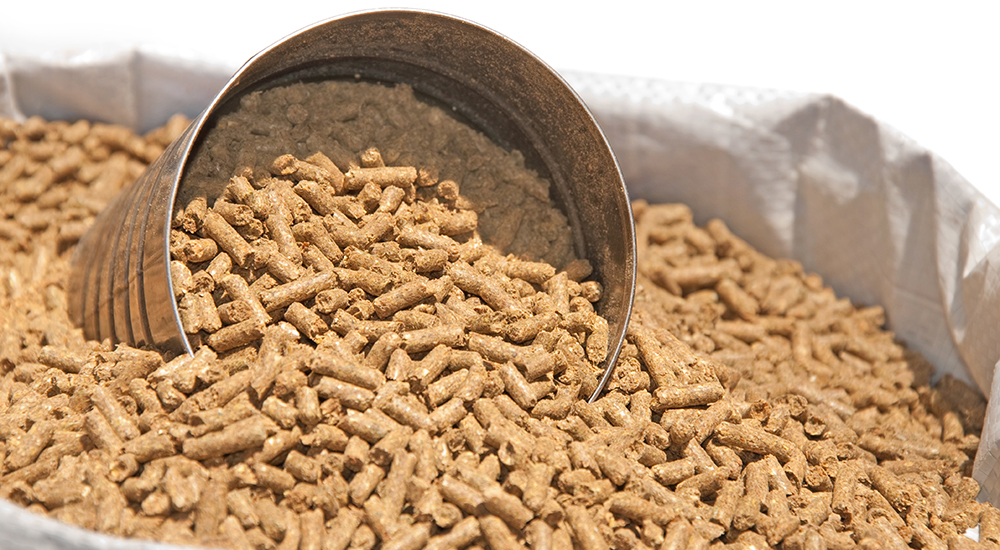 Feed Liquidline 1000X550pxl