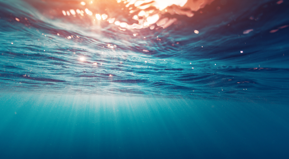 News Improving Fish Industry In Norway 1000X550pxl